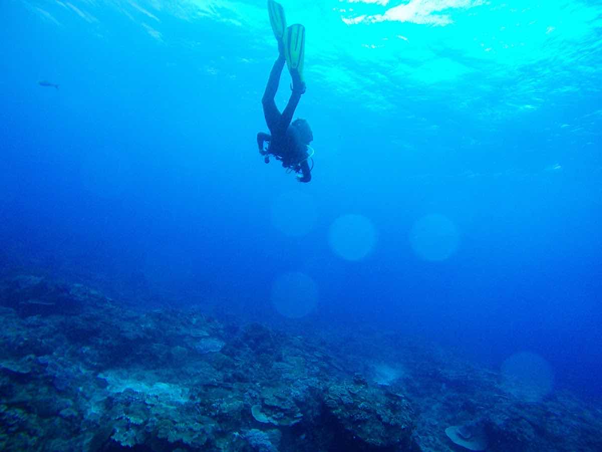 Sodwana Bay Lodge Scuba Centre photo 4