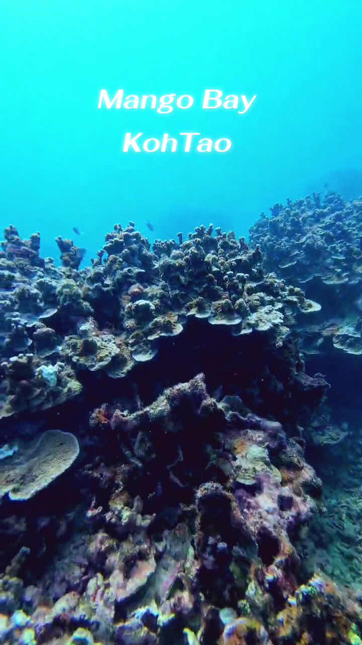 Waterspeak Private Charters & Scuba Diving photo 3