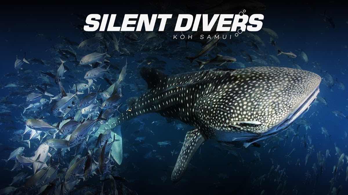 Waterspeak Private Charters & Scuba Diving photo 7