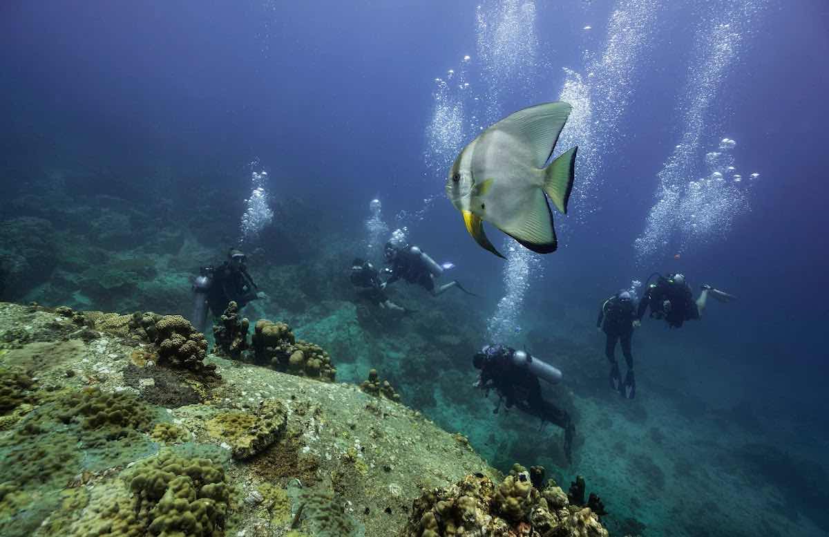 Waterspeak Private Charters & Scuba Diving photo 10