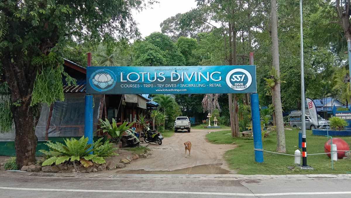 Lotus Diving photo 1