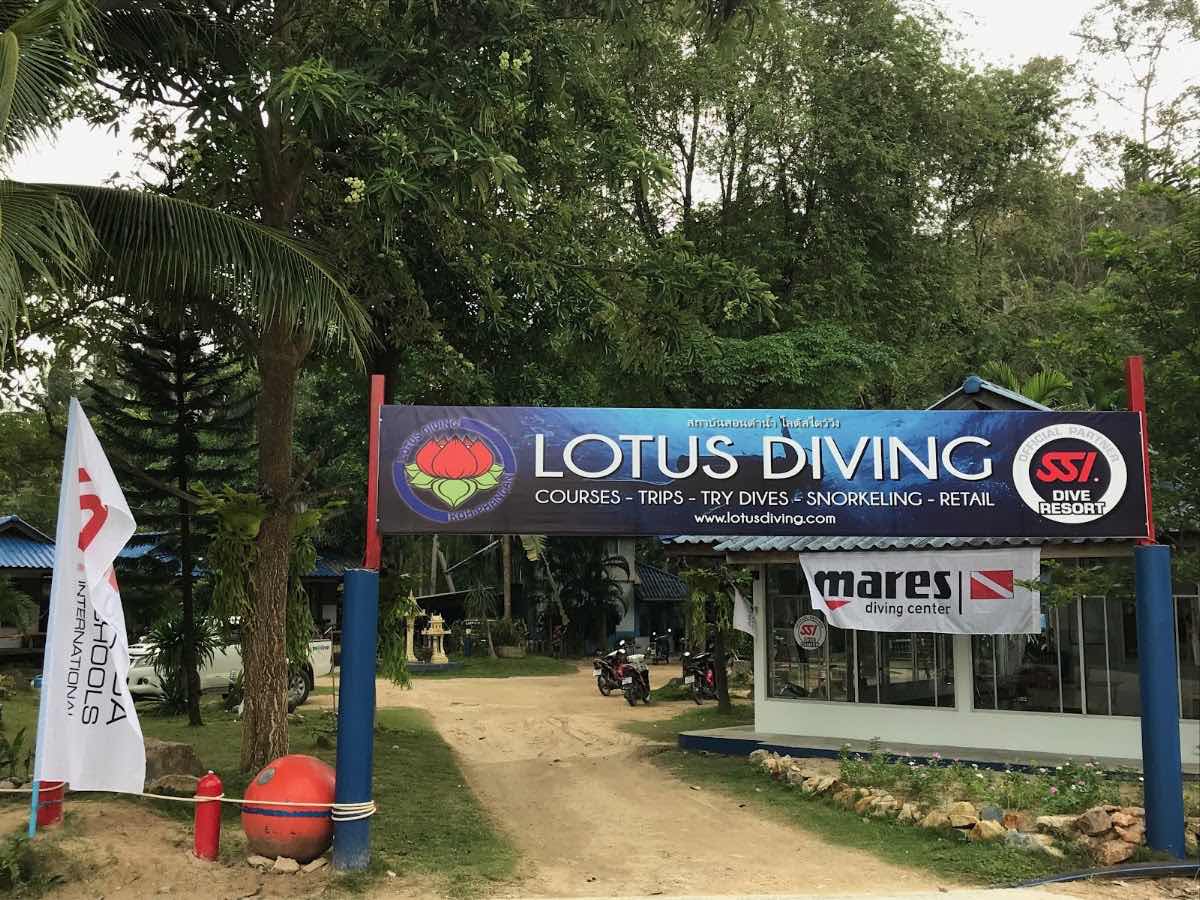 Lotus Diving photo 6