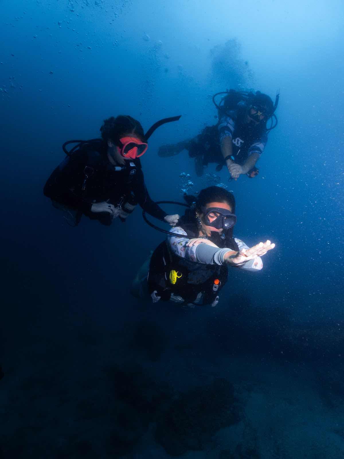 Phi Phi Pro Diving Academy photo 1
