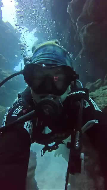 Kelly's Watersports & PADI DIVE SHOP photo 4