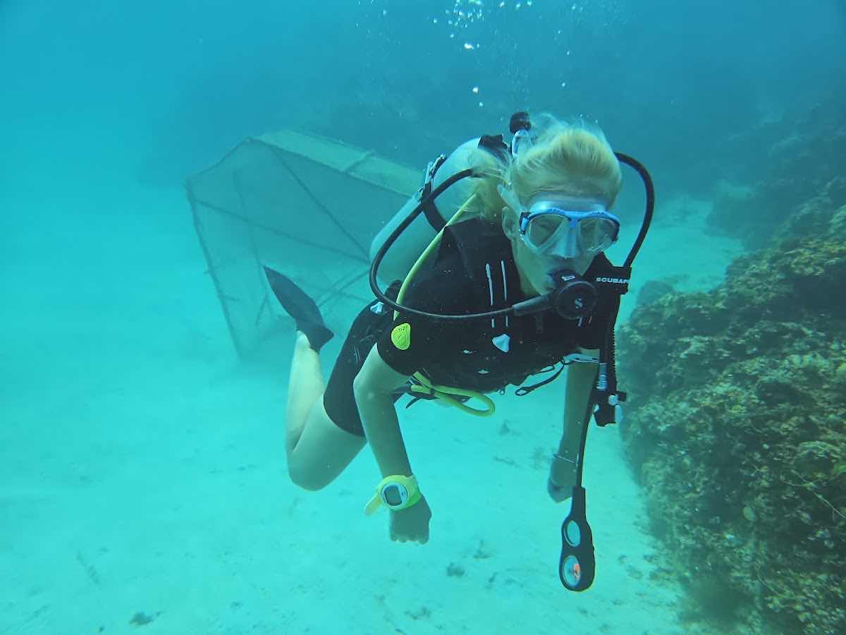 Kelly's Watersports & PADI DIVE SHOP photo 5
