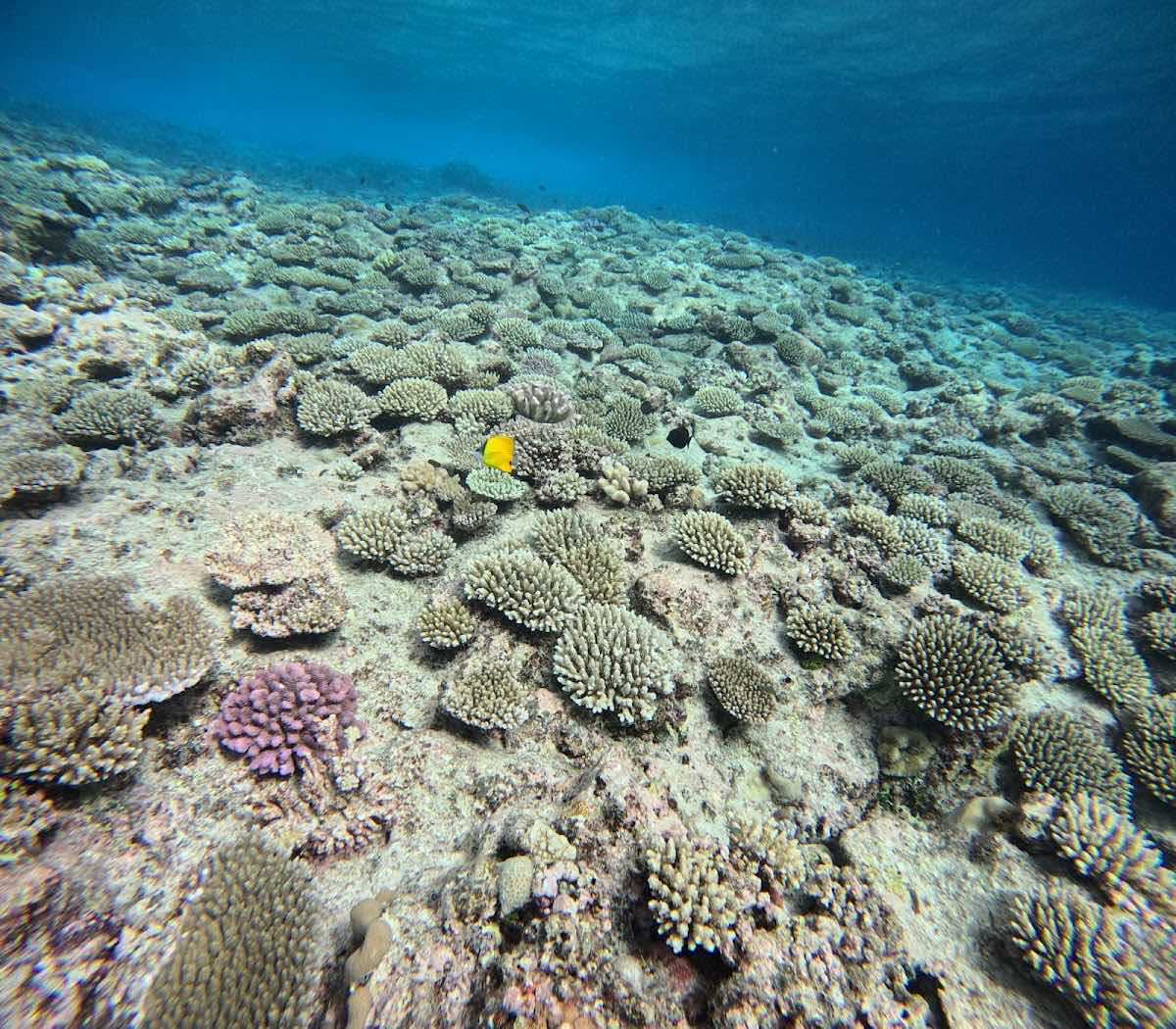 Explore Niue Tours & Travel photo 1