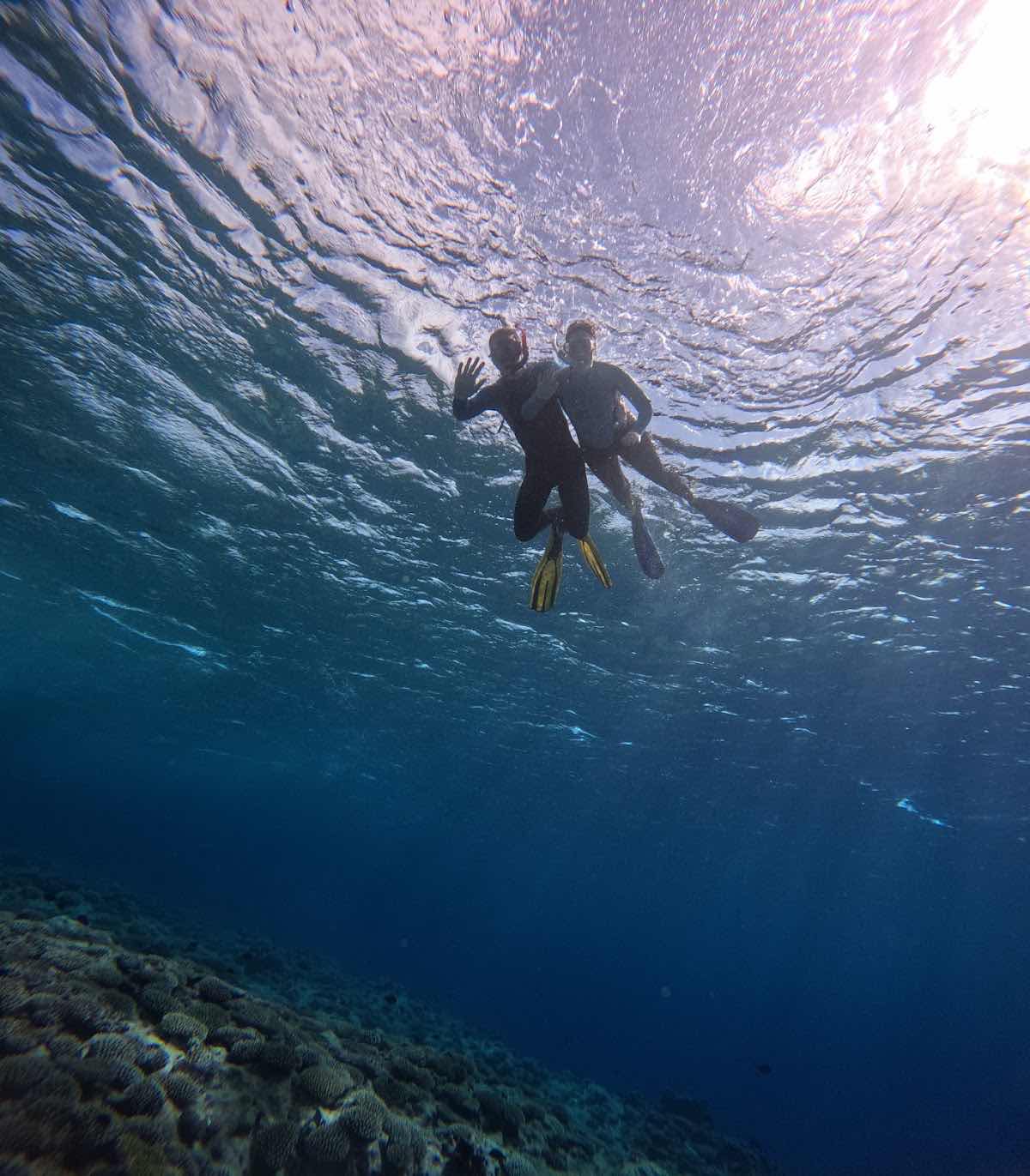 Explore Niue Tours & Travel photo 6