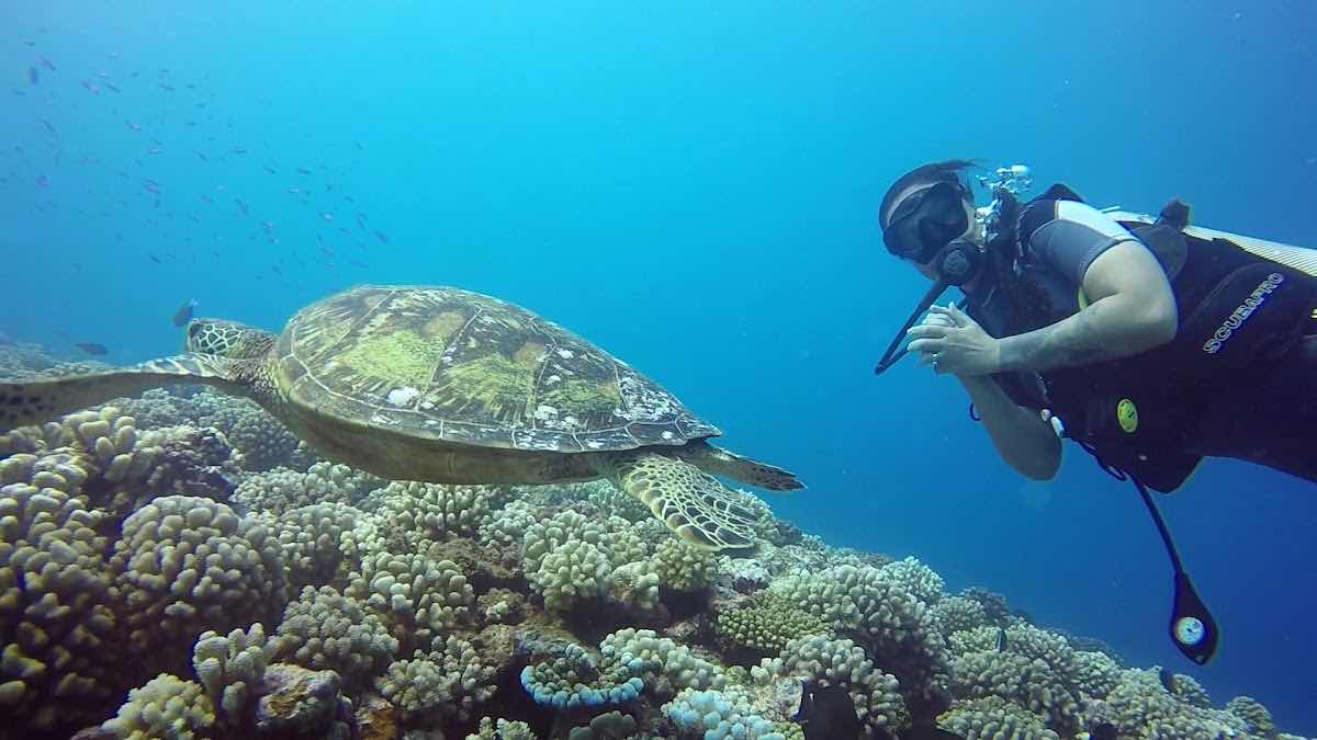 Moorea Blue Diving photo 1