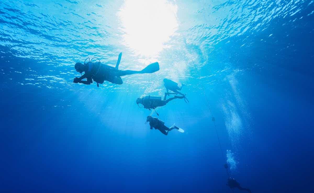 Moorea Blue Diving photo 8