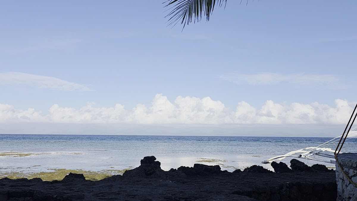 The Blue Orchid Resort photo 3