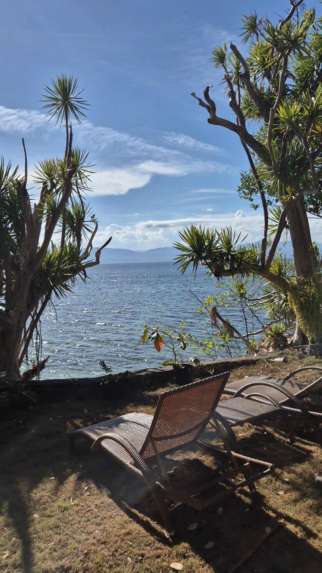 The Blue Orchid Resort photo 5