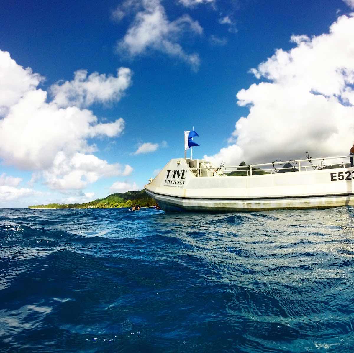 Dive Rarotonga photo 1