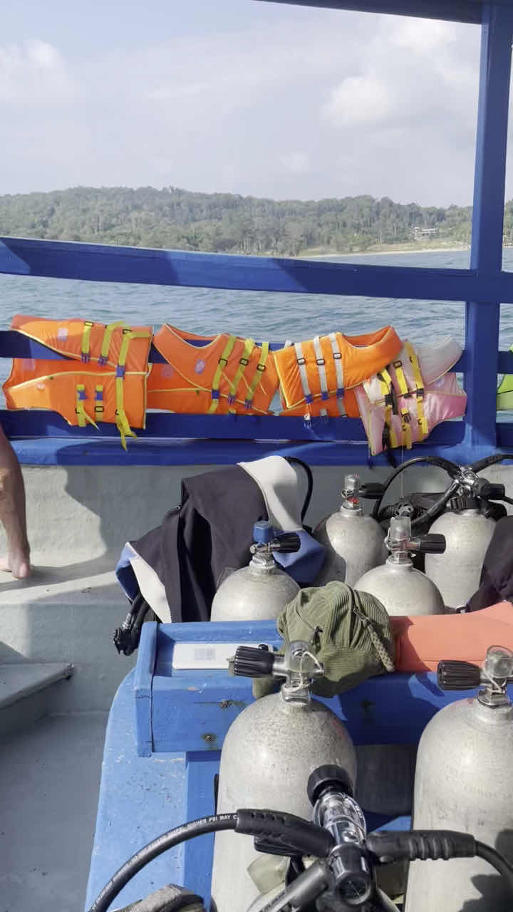 The Dive Shop photo 3