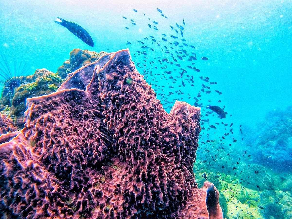 The Dive Shop photo 10