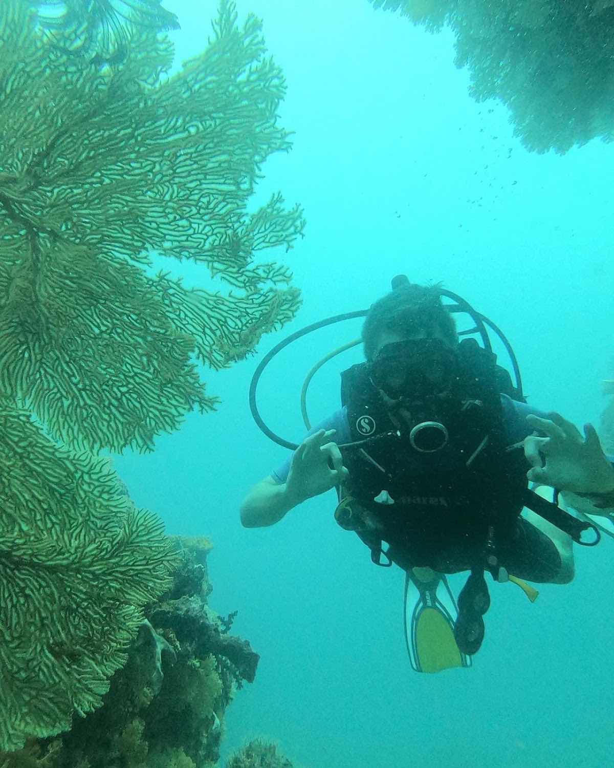 Ra Divers Fiji photo 4