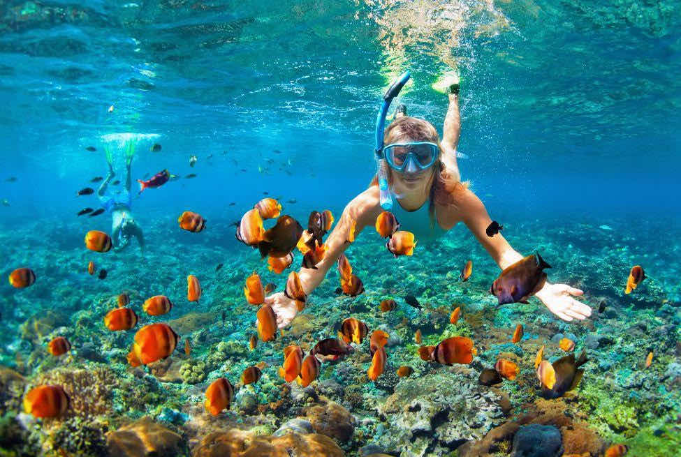Zan Dive and Snorkeling photo 1