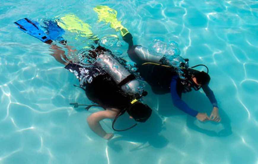 Zan Dive and Snorkeling photo 2