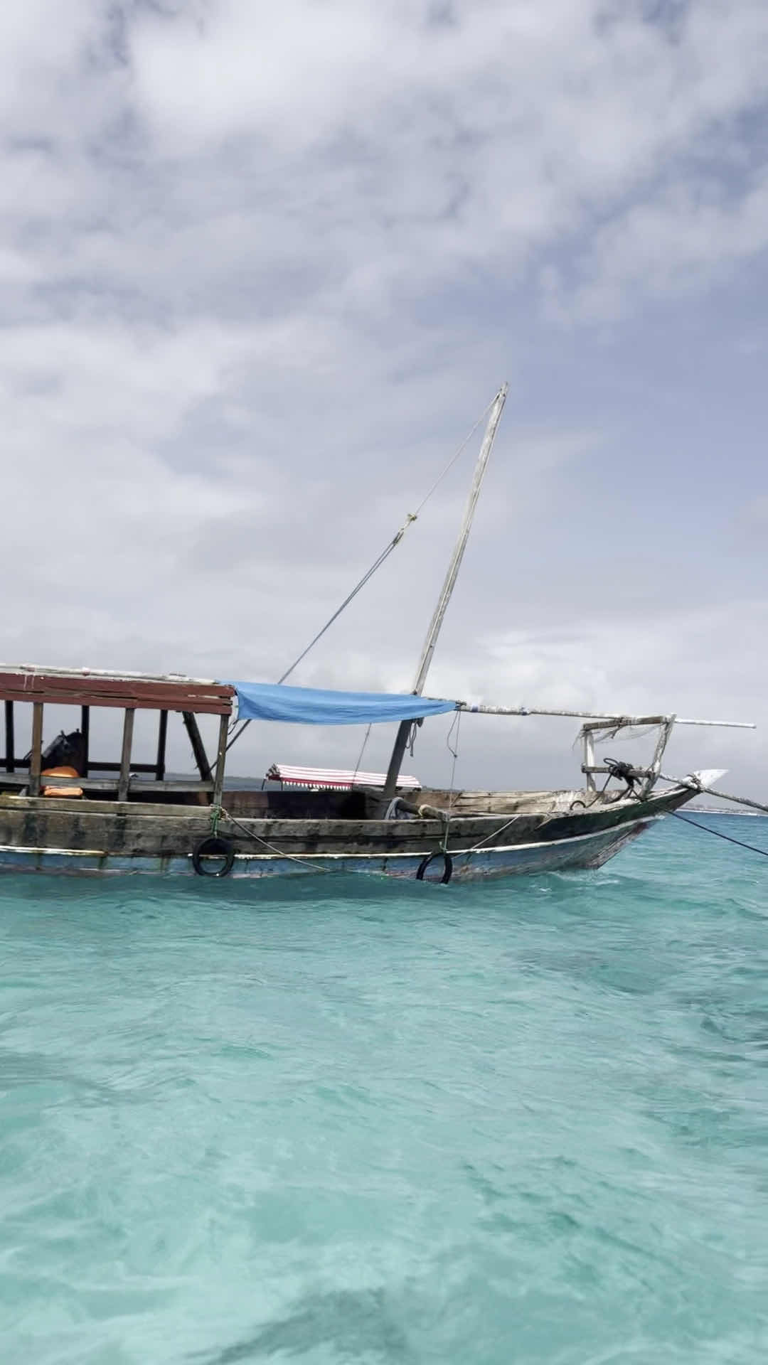 Zan Dive and Snorkeling photo 3