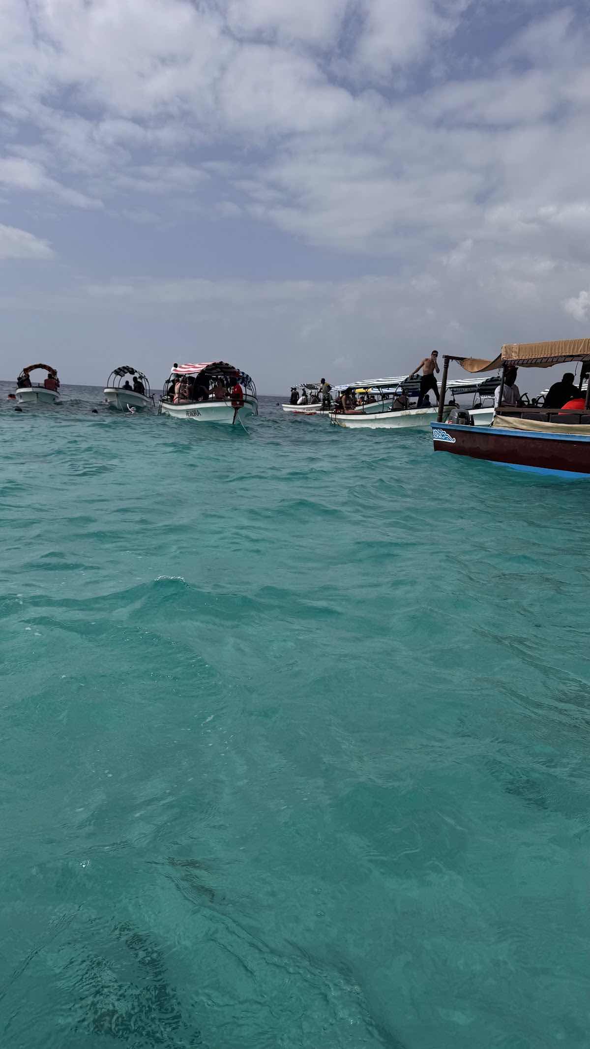 Zan Dive and Snorkeling photo 10