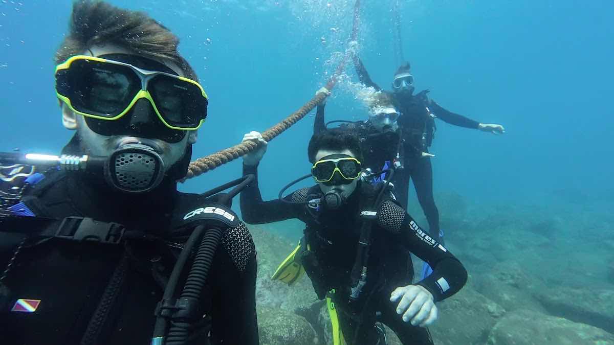 Azul Diving Madeira | Ponta de São Lourenço photo 4
