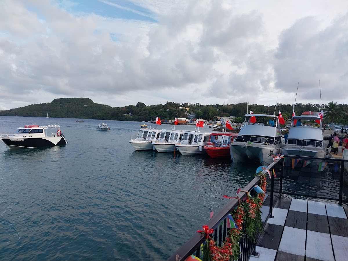 Vava'u Whale Watching Adventures photo 8