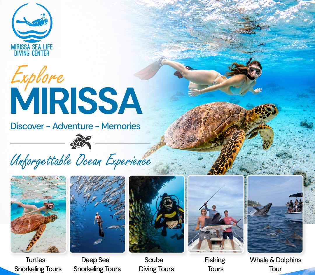 Diving Tours Mirissa photo 7