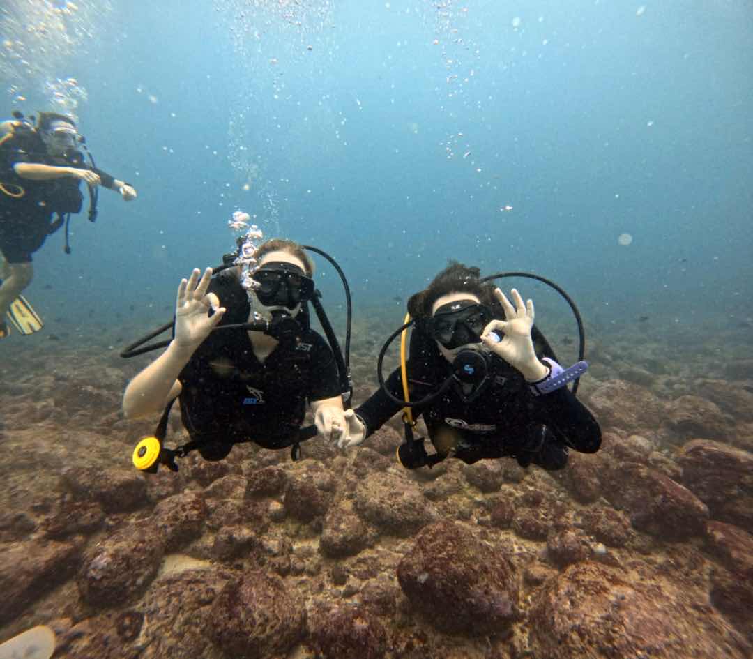 Diving Tours Mirissa photo 8