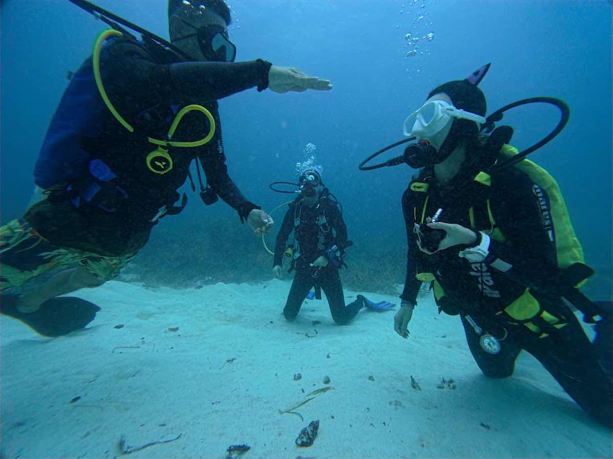 Belau Diving photo 6