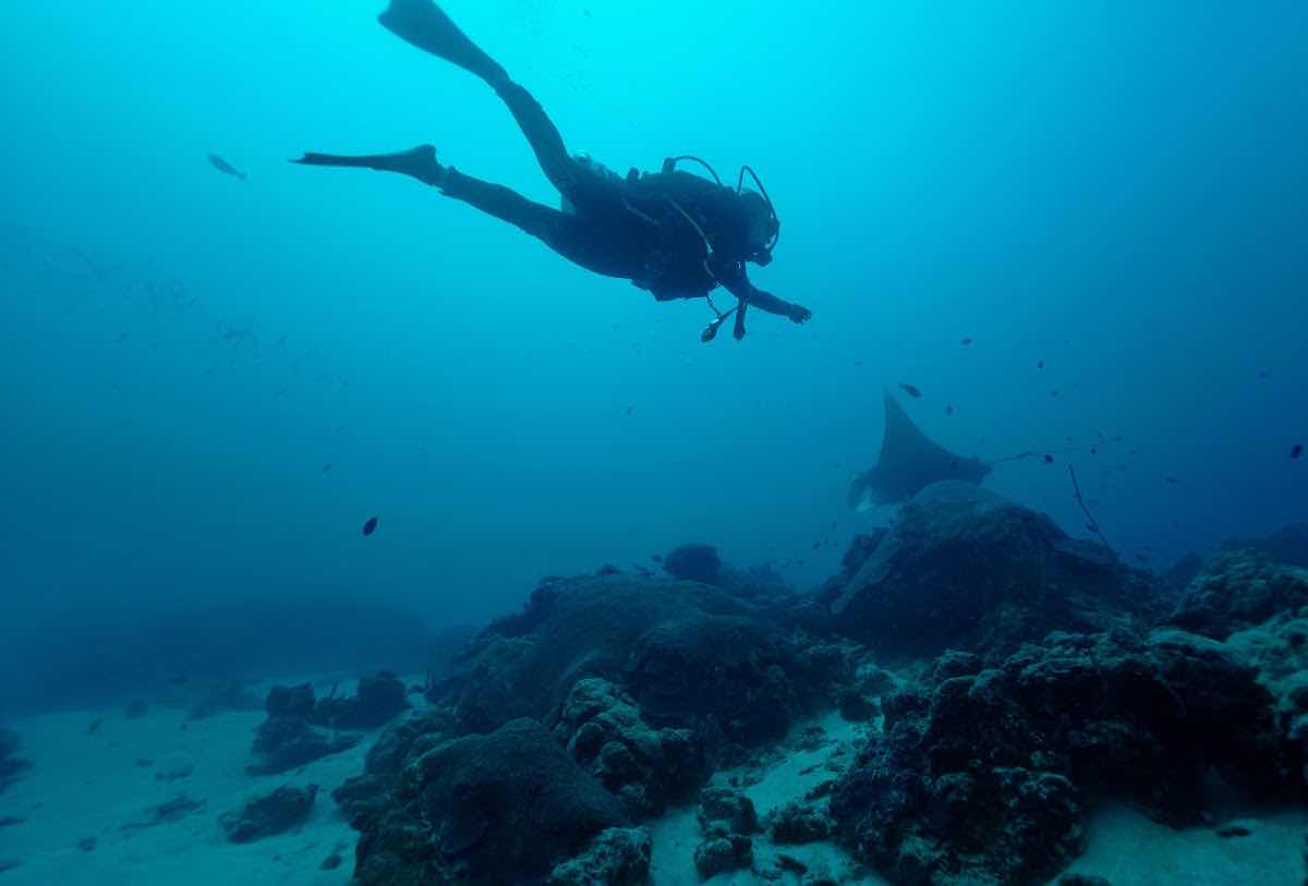 Belau Diving photo 7