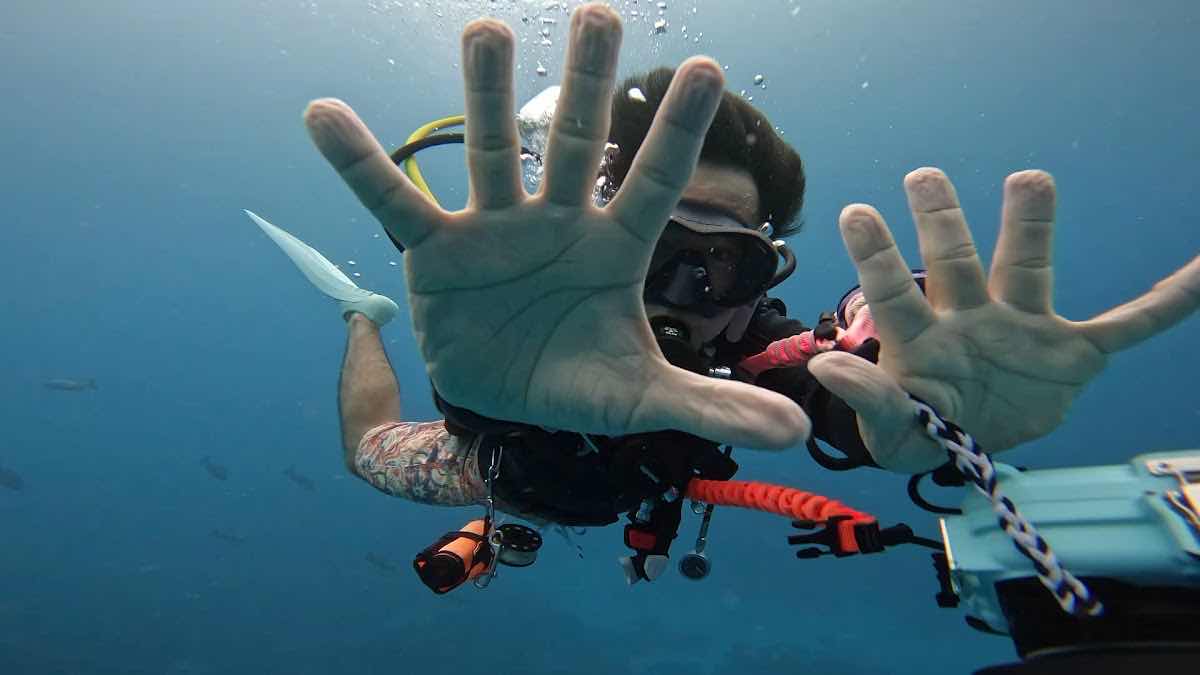 Belau Diving photo 10